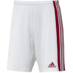 Sportiniai &scaron;ortai vyrams Adidas Squadra 21 Short M GN5770, balti