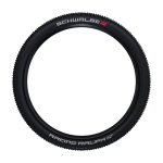 Dviračio padanga Schwalbe Racing Ralph HS 490, 29", juoda