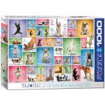 Dėlionė Eurographics, 6000-0954, Yoga Dogs, 1000 d.