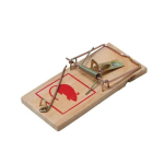 Pelių spąstai 4 vnt.