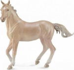 Collecta