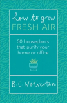 How To Grow Fresh Air: 50 Houseplants To Purify Your Home Or Office