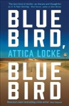 Bluebird, Bluebird Main