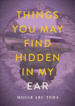 Things you may find hidden in my ear