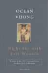 Night Sky with Exit Wounds