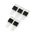 Tranzistoriai N- MosfetIRFZ44N - THT - 5 vnt