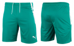 &Scaron;ortai vyrams PUMA teamLIGA 704924 05