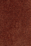 Narma kilimas Eden 160x240 cm