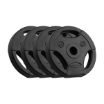 Svorio diskų rinkinys Rebel Active, 4x2.5 kg