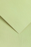 Dekoratyvinis popierius OAK A4 kreminis 230g 20lap
