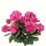 Dirbtinės pelargonijos 2 vnt,  Fuksija