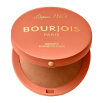 Bronzantas Bourjois Highlighter Maxi, 002 Medium dark, 7 g