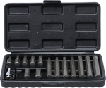 Bitu komplekts | 10 mm (3/8 ") piedziņa | iek&scaron;ējais se&scaron;stūris | 15 gab. BGS Technic-5070, Unique
