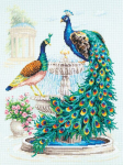 Siuvinėjimo rinkinys Magic Needle Peacocks 210-213