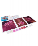 Siuvinėjimo biseriu rinkinys MiniArt Crafts Pink Orchids triptych