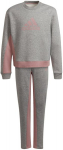 Sportinis Kostiumas Mergaitėms Adidas G Bos Co Ts Grey Pink H57225