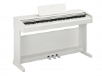 NYDP145WH