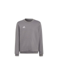 Vaiki&scaron;kas džemperis Adidas Entrada 22 H57477, pilkas