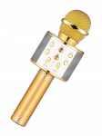 BELAIDIS KARAOKE BLUETOOTH MIKROFONAS