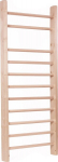 Gimnastikos sienelė Master MAS-C195-70, 195x70 cm, rusva