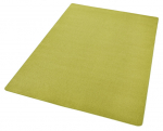 Hanse Home kilimas Fancy Green, 160x240 cm