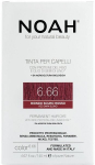 Ilgalaikiai plaukų dažai Noah 6.66 Red Dark Blond 140 ml