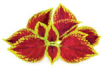 Click & Grow SGR2x3