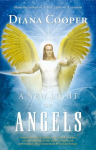 New Light on Angels 2nd Edition, Enlarged