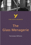 Glass Menagerie: York Notes Advanced everything you need to catch up, study and prepare for and 2023 and 2024 exams and assessments