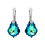 Sidabriniai auskarai moterims Diamond Sky DS02A862