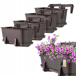 4x Balcony Box 40cm Rudos rankenos