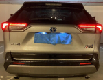 Toyota RAV4 V 2018+ CHROME LEAF ant bagažo dangčio