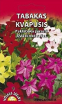 Tabakas kvapusis