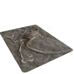 Dinozauro Fosilija 8mm Storas Vonios Kambario Kilimas, Virtuvės Kilimėlis., 47,24 * 62,99 colio 120 cm * 160 cm