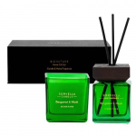 Prabangus dovanų rinkikinys Signature Home Gift Set Bergamot & Musk difuzorius+žvakė