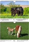 Foal Magic Din A4 kalendorius 2023 metams. Žirgai ir kumeliukai Seelenzauber