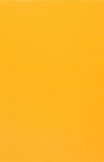Evelatus Universal 3M Matte Color