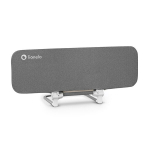 Lovos apsauga Lionelo Lora, Grey Stone