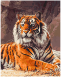 Tapyba pagal skaičius I&scaron;didus tigras, 40x50 cm