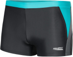 Vyri&scaron;kos maudymosi kelnaitės Aqua Speed Dario, juoda