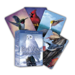 Meditacijos Kortos Bird Vibes Beyond Woords