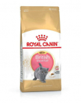 Royal Canin Britų trumpaplaukiams kačiukams, 2 kg