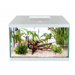 Akvariumas Aquael Leddy Plus 40 D&N 2.0 25 L, baltas, su įranga