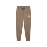 PUMA laisvalaikio kelnės vyrams PUMA CLASS Sweatpants TR cl Totally Taupe - 68465293, smėlio spalvos