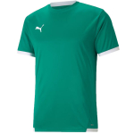 Vyri&scaron;kas mar&scaron;kinėlis Puma teamLIGA Jersey, žalias, 704917 05, 2XL
