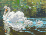 Pie&scaron;imo rinkinys Gulbių ežeras 40x50