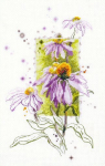 Siuvinėjimo rinkinys Magic Needle "Echinacea" 100-101