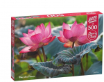 Dėlionė CherryPazzi Pink Lotus flowers 500 d.