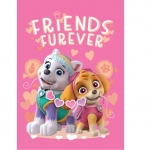 Paw Patrol Friends Forever Vaiki&scaron;kas pledas 100x140 cm