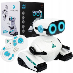 Interaktyvus radijo bangomis valdomas Robotas